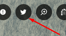 The Twitter or bird icon in Unlimited Battlegrounds