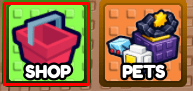The location of the "SHOP" button in Punch A Door