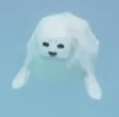 The Silly Seal in Fisch