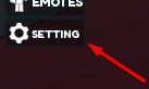 The SETTING button in Car Game