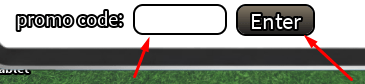 The blank box and Enter button in From Zero to Riches