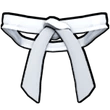 White Dojo Belt in Blox Fruits