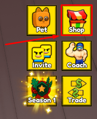 Kayak and Surf shop button