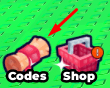 The "Codes" button in Dont Get Caught For Hackers