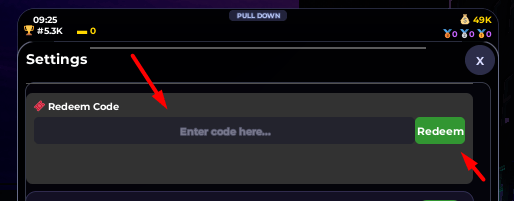 The Enter code here... box and redeem button in Pay To Win RNG