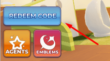 Redem Code button that reveals the redeem code interface