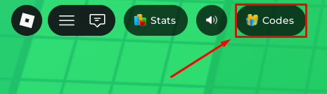 Stop the Timer codes button