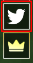 SURVIVE FOLK VALLEY HOTEL twitter icon