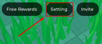 Strongest Mage settings button
