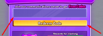 The blank box and Redeem Code button in Summer Battlegrounds