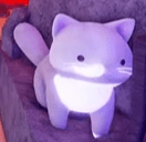 The Nico pet in Fisch