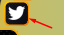 Twitter icon in Anime Slashing Simulator