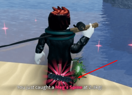 Catching a Meg's Spine in Fisch