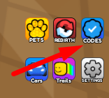 The Codes button in Poo Race