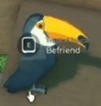The Tropical Toucan in Fisch
