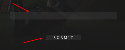 Text box and submit button to redeem codes in Attack on Titan: Resistance