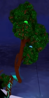 Spirit of the Forest