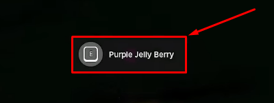 Blox Fruits collect Berry example
