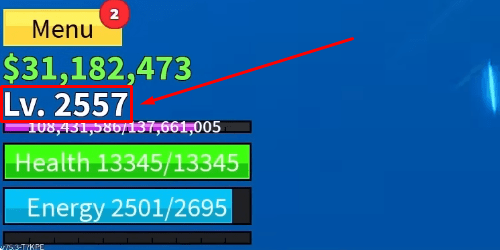 Blox Fruits level number example