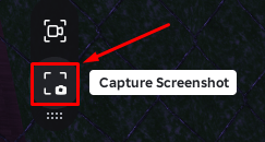 The "Capture Screenshot" button in Roblox
