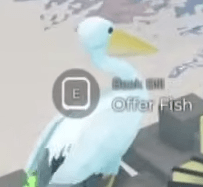 An image of Beak Bill in Fisch