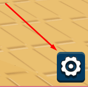 The settings icon in Race a Car