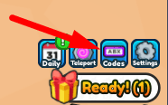 The Codes button in Burp Race Simulator