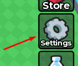 The Settings button in Mini Race