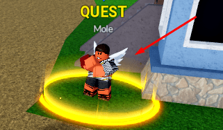 The Mole NPC in Blox Fruits