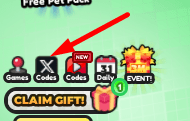 The Codes button in 