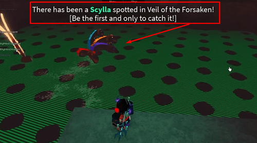 A Scylla Hunt in Fisch