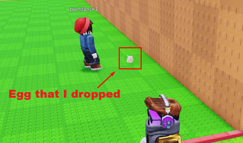 A dropped egg near another player in Steal An Egg