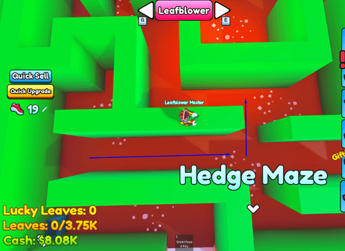 Directions to the intersection of the maze in Garden Cleaner Evolution