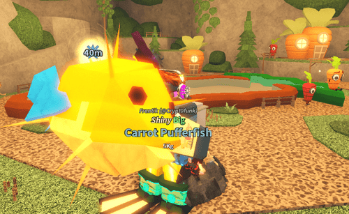 A Carrot Pufferfish in Fisch