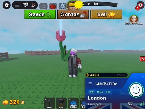 Playing Grow a Garden 2 while a VPN is on