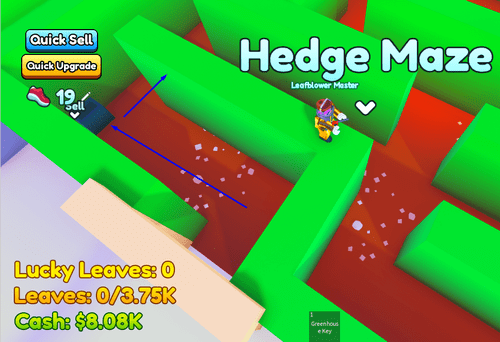 Directions from the entrance of the maze in Garden Cleaner Evolution