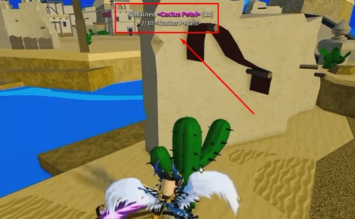 The "Obtained Cactus Petal" message in Blox Fruits