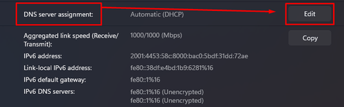 The "Edit" button across "DNS server assignment"