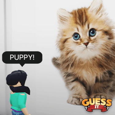 Guess It: Images