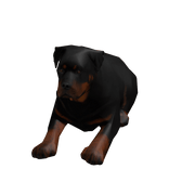 𝖗𝖔𝖙𝖙𝖜𝖊𝖎𝖑𝖊𝖗 𝖕𝖚𝖕𝖕𝖞