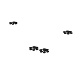 [1.0] Black shiny paws