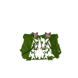 1.0 Dryad's Skirt