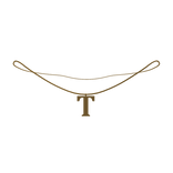 1.0 Gold Initial Necklace - T
