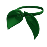 1.0 Green Bow Tie
