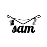1.0 sam