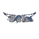 1.0 sei