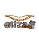 1.0elizaa