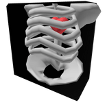 1x1x1x1 Skeleton Torso (Heart)