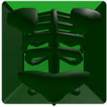 1x1x1x1's Transparent Torso