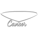 3.0 Cancer Zodiac Sign Necklace in Silver